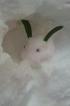 ファイル名: FxCam1329695812480.jpg
ファイルサイズ: 6.5KB FxCam1329695812480